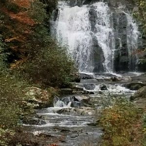 Meet your Posher, Deanna